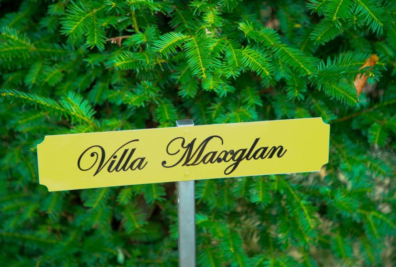 Villa Maxglan Salzburg Ngoại thất bức ảnh
