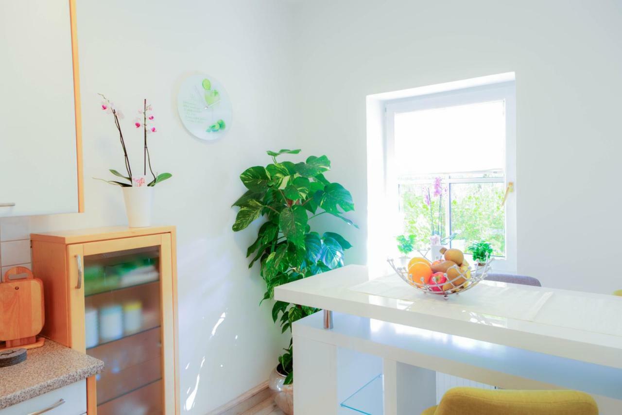 Villa Maxglan Salzburg Ngoại thất bức ảnh