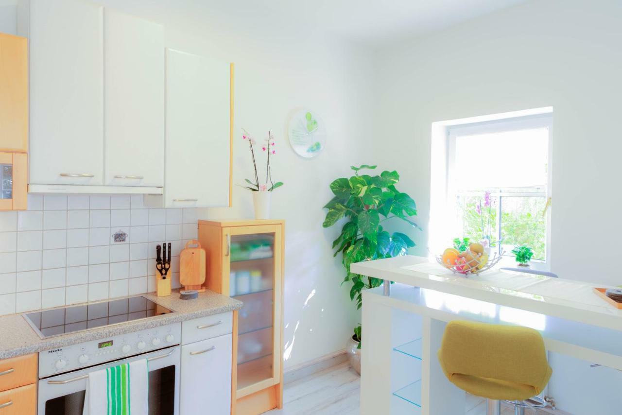 Villa Maxglan Salzburg Ngoại thất bức ảnh